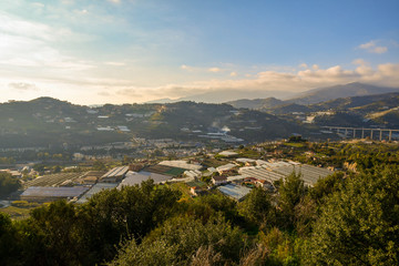 High angle panoramic view of the Armea Valley with greenhouses for the cultivation of flowers, a typical commercial activity of the area of Sanremo in the Riviera of Flowers, Imperia, Liguria, Italy