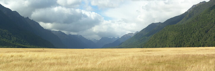 Beautiful new zealand