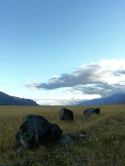 Beautiful new zealand