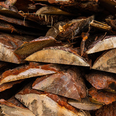 pine firewood folded under a canopy for drying.