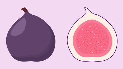 Figs fruit. Isolated icon of fig. Whole and chopped fig on soft purple background. Flat fruit vector illustration.