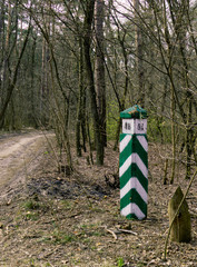 road sign in the forest