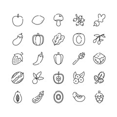 apple, fruits and vegetables icon set, line style