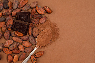 Bar of chocolate, cocoa powder and cocoa beans