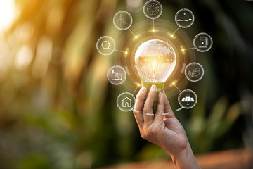 Light bulbs that grow, in the concept of energy in nature.