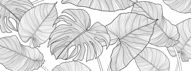 Nature background vector. Black and white floral pattern, Split-leaf Philodendron plant with monstera plant line arts, Vector illustration.