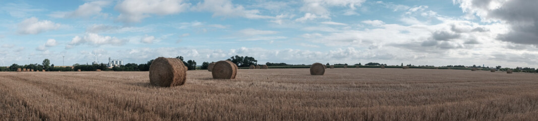 Fototapeta premium Panoramic view hay rolls in a French filed. 