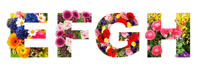 Floral lettering Alphabet E F G H flower heads bouquet