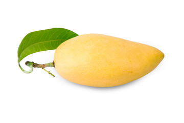 delicious ripe mango fruit with leaf isolated white background