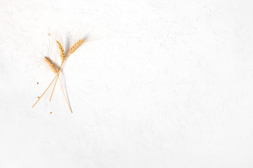 Wheat ears on the white textured table background