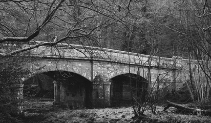 old bridge in the forest