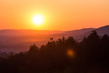 Beautiful summer sunset with trees and hills. 