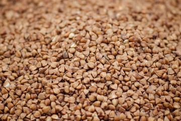 Buckwheat