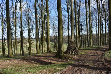 Beautiful playhouse in the forest