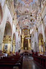 Obraz premium The Catholic Cathedral of the Assumption of the Virgin Mary and St. Stanislav in Mogilev. Belarus. The interior and exterior of the temple.