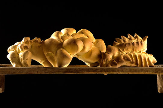 Coccoi o Pasta dura, pane tipico della Sardegna