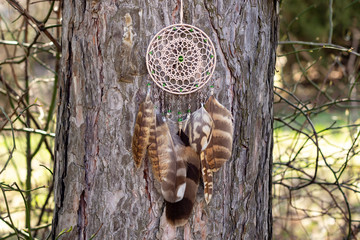 Handmade dream catcher with feathers threads and beads rope hanging