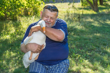 Outdoor portrait of sweet friends - cute white goose on the hands of bearded senior man
