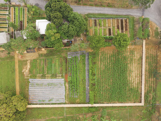 Birds Eye View of the vegetable fields and agricultural Parcel. Aerial views.