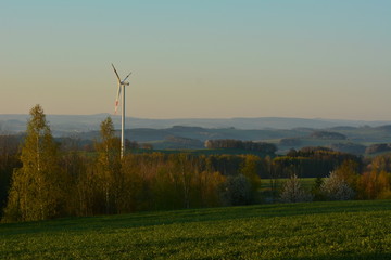 Sonnenaufgang im Feld