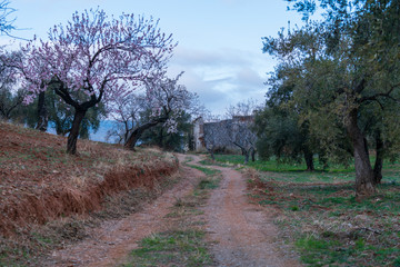 surroundings of an old country house near Ugijar