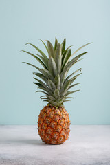 Whole pineapple on pastel blue background. Copy space.