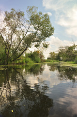 Fototapeta na wymiar Piękne okoliczności natury w parku krajobrazowym nieopodal Szczecina.