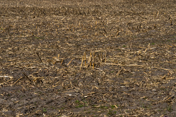 Natur Münsterland Outdoor
