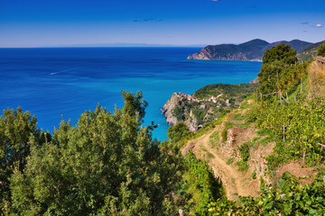 Panorama on the path to Vernazza Cinque Terre Liguria Italy