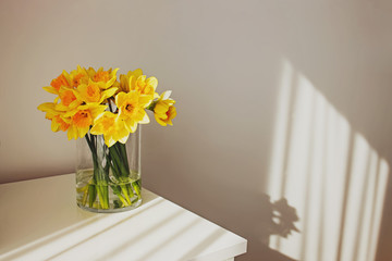 Yellow spring flowers in vase standing on white table with beautiful shadows on the wall.