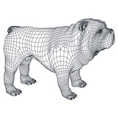 English Bulldog polygonal lines illustration. Abstract vector dog on the white background
