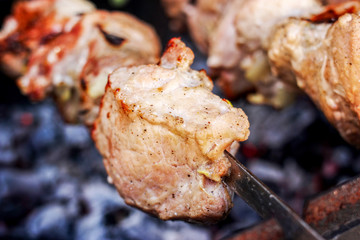 Grilled delicious pork kebab, shashlik or kebab, skewer, on the grill closeup