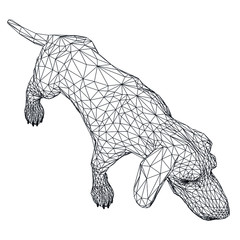 Basset Hound dog polygonal lines illustration. Abstract vector dog on the white background