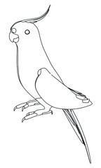 Australian Cockatiel parrot polygonal lines illustration. Abstract vector parrot on the white background