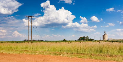 Small scale independent Corn Maize Farm Field in South Africa