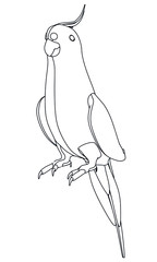 Australian Cockatiel parrot polygonal lines illustration. Abstract vector parrot on the white background