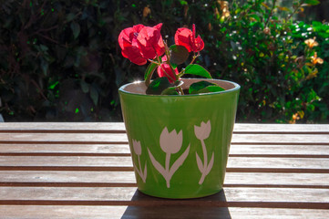 A green vase with a pattern of white tulips stands on a wooden table with red flowers on a blurred background of green bushes
