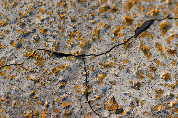Cracked cement texture with old spots of yellow paint. Photo for the embodiment of the most unusual design.