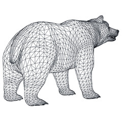 Bear polygonal lines illustration. Abstract vector bear on the white background