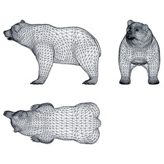 Bear polygonal lines illustration. Abstract vector bear on the white background
