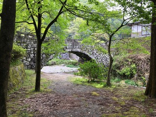 Fototapeta premium 橋
