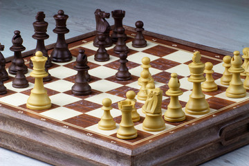 Chess a magnificent board game