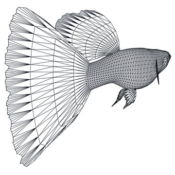 wireframe guppy fish swimming clip art preview