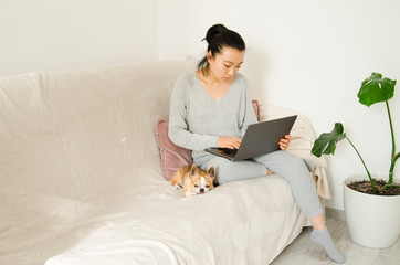 Asian woman dressed in grey shirt and trousers. Young Asian woman working from home while sitting on a sofa. Korean girl using laptop. Girl holding her chihuahua dog