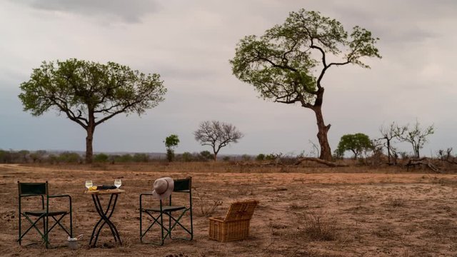 Static timelapse in African bushveld game reserve of romantic sundowner drinks and picnic basket, snacks, in late afternoon with moody clouds, Marula trees in scenic landscape.