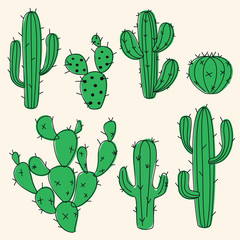 Stylized cactus collection. Vector illustration.