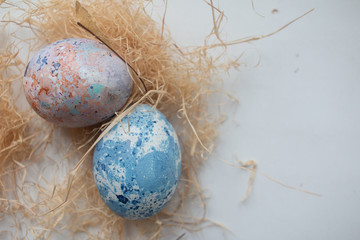 easter eggs in nest