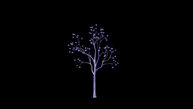Funky looking tree timelapse growing, Luma Matte attached