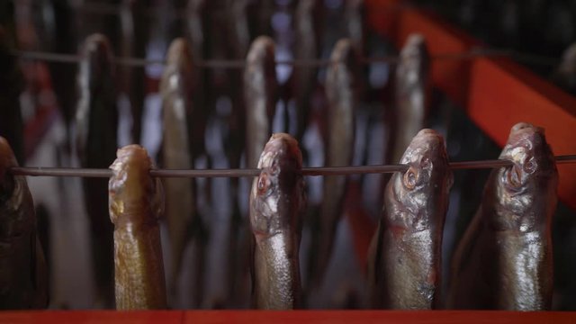 Dried cod at a Norwegian fish factory. Mass drying of dried fish at a fish factory.