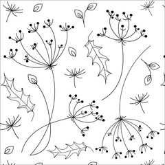 pattern umbels of black-and-white vector